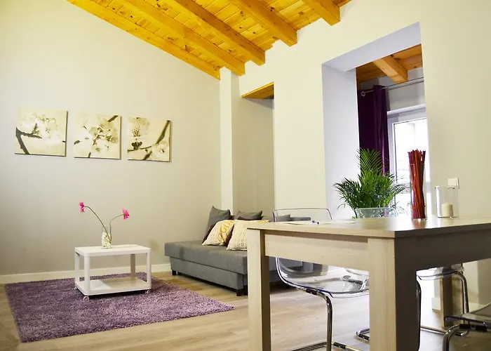 Go - Leopoldo Cano Center Valladolid